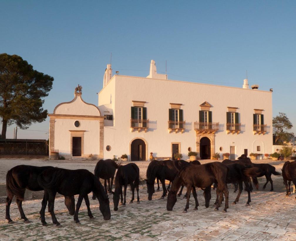 Masseria Tagliente Martina Franca Exteriör bild
